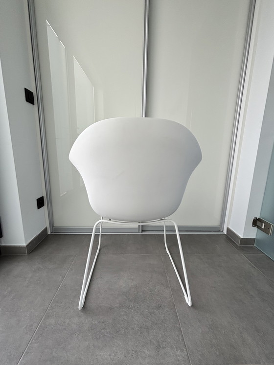 Image 1 of Kristalia Olifant stoel wit of terracotta