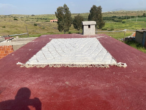 Image 1 of Minimalistisch Beni Ouarain tapijt 300x200 cm – Handgemaakt Marokkaans wollen tapijt – Ivoor Berber geometrisch design