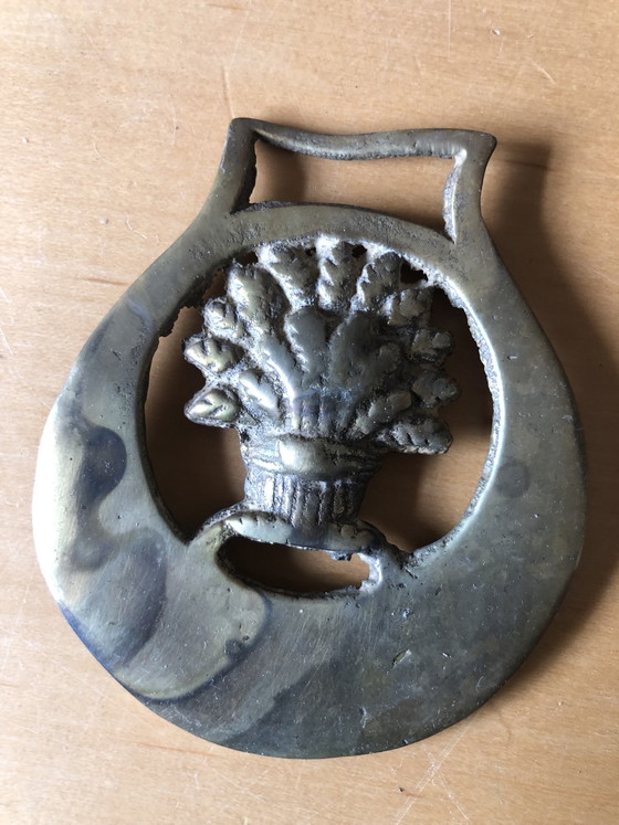 Image 1 of Paarden brasses