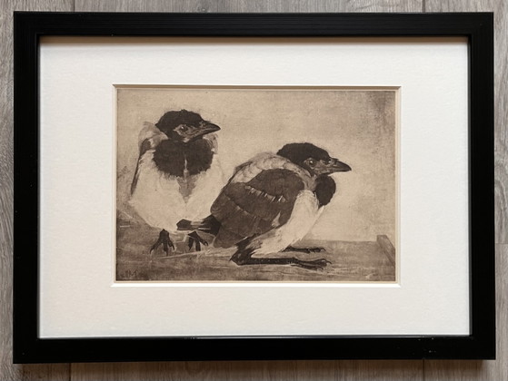 Image 1 of Jan Mankes 1889-1920 / Héliogravure originale 2 Jeunes Pies 1923