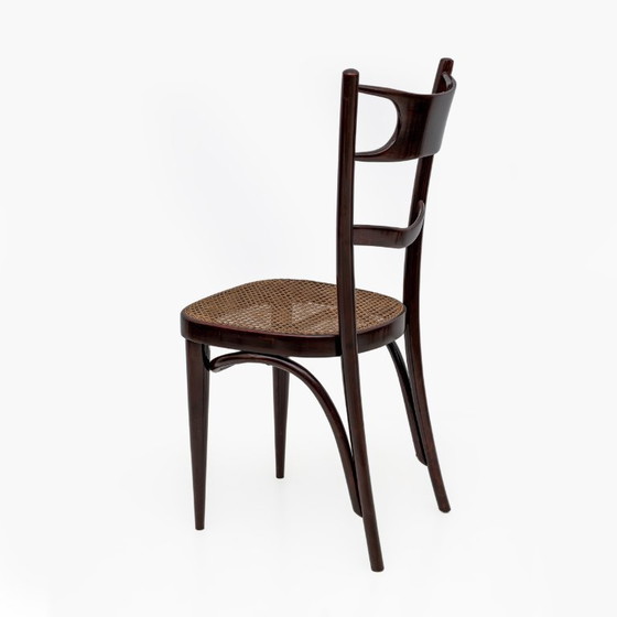 Image 1 of Ensemble de six chaises Thonet napolitaines en hêtre courbé du début du XXe siècle, Sautto & Liberale