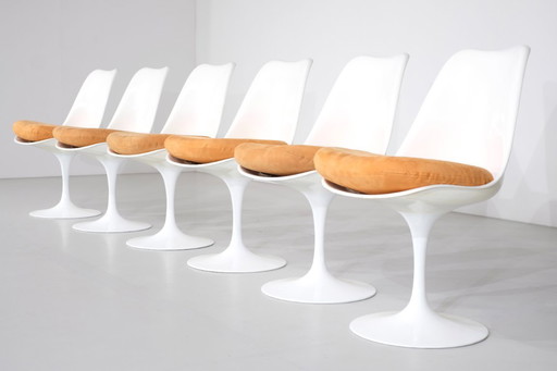 Set of 6 Tulip chairs by Eero Saarinen for Knoll International - 1981