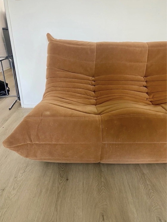 Image 1 of Ligne Roset Togo 3-seater sofa – orange-brown suede – iconic design