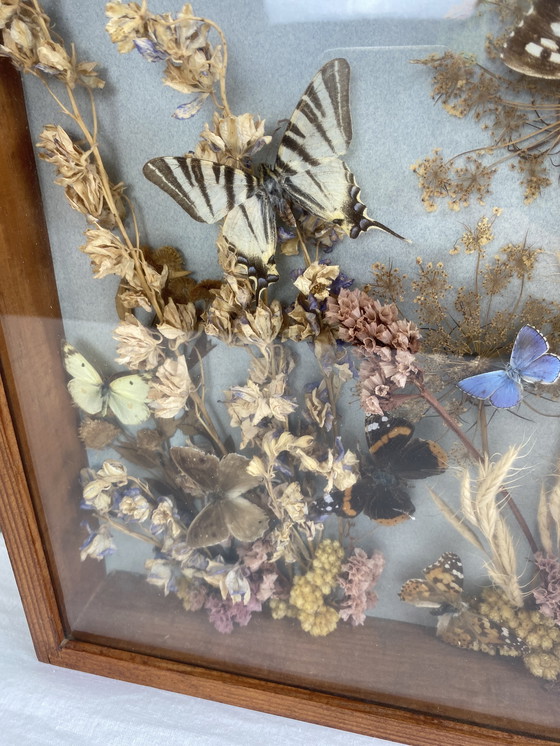 Image 1 of Eingerahmte Schmetterlinge und Blumen
