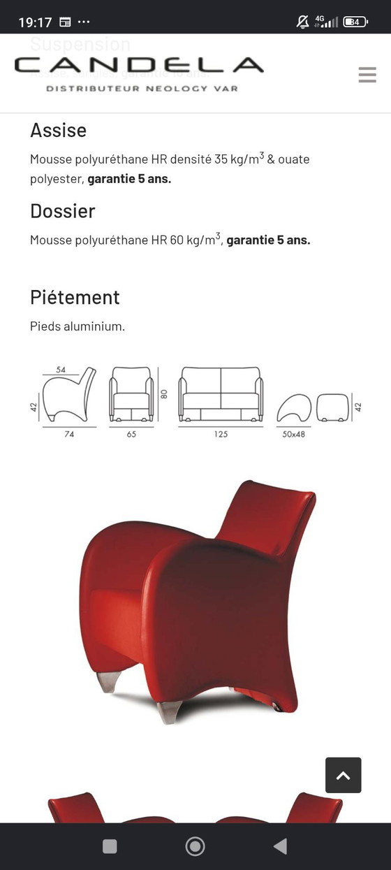 Canapé Haut De Gamme Neology Designer Bernard Massot – Leather, Metal (photo 10 of 15)