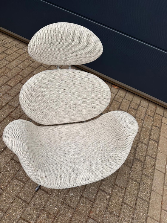 Image 1 of Artifort Big Tulip 1ª Edición 1958 Pierre Paulin, ¡¡¡Impecable estado nuevo!!!