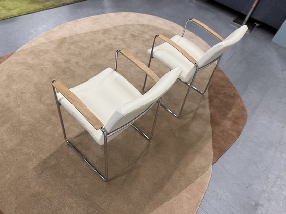 Image 1 of 2 Leolux Talos dining chairs Senso leather