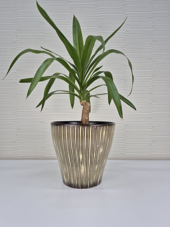 Image 1 of Pot de fleurs XXL en céramique des années 1950. Jardinière vintage « Zèbre ».