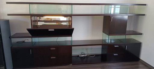 EUREKA Wall Bookcase By Designer Luigi GORGONI For ROCHE BOBOIS – wandrek, Wood, Glass (photo 2 of 5)