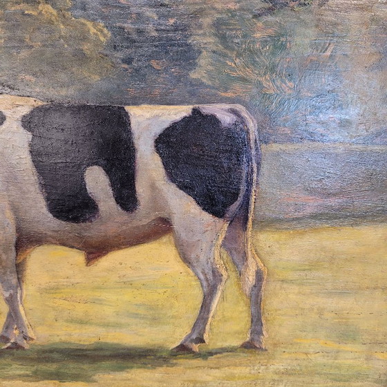 Image 1 of Oil on panel “cow”, Roger Griboval, Rouen School, 1980s – France