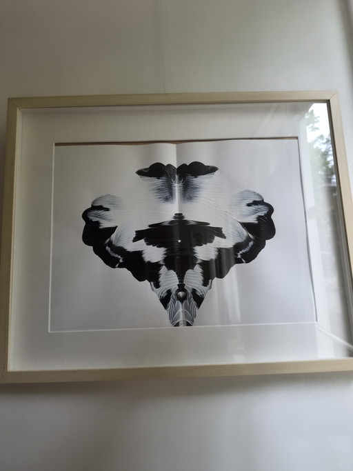 ¡Preciosas obras originales de William Eckerstein ya a la venta!