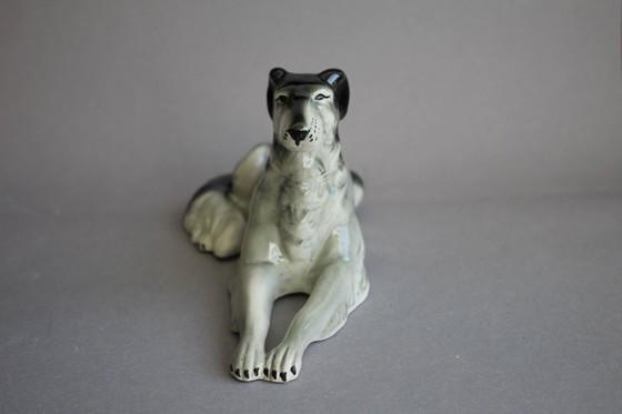 Image 1 of Galgo ruso (Borzoi), tumbado, con manchas blancas y negras, probablemente Scheidig Gräfenthal.