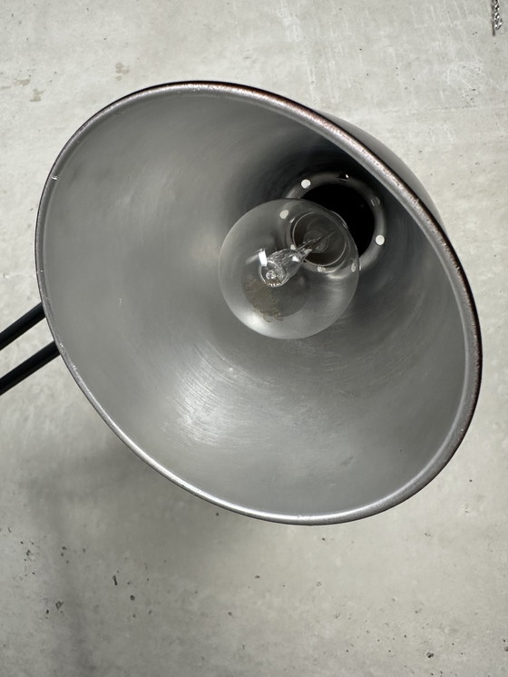 Image 1 of Original Anglepoise Herbert Terry 1209 - lámpara de pie - años 40