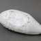 French Ceramic Duck Flower Vase by Albert Thiry, 1994 (photo 21 of 21)