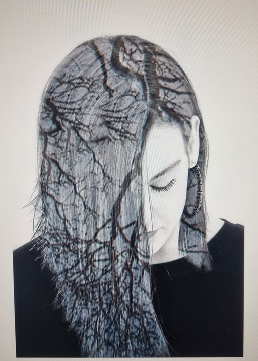 - Obra de arte Hairtree sobre plexiglás