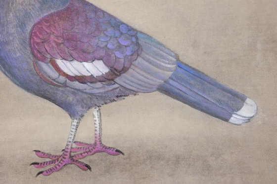 Image 1 of Painted Canvas Representing a Muffled Pigeon. Contemporary.