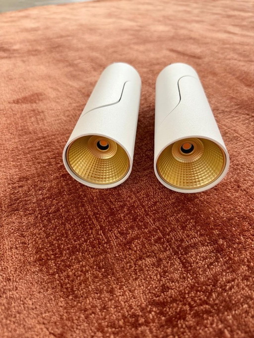 2x Modular Semih 61 ceiling LED 2700K dali/pushdim GI white