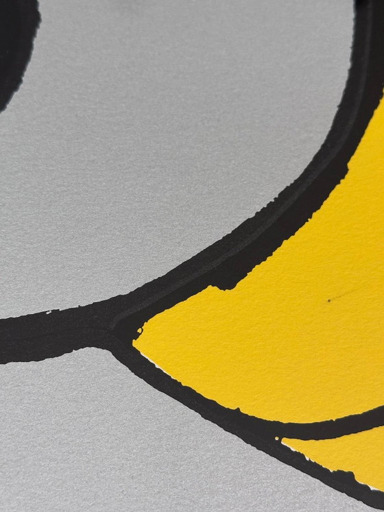 Karel Appel screen print 1978 – Lithographs & prints, Paper (photo 8 of 10)