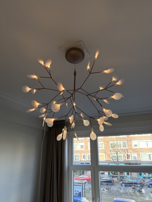 Moooi Heracleum II Petit Cuivre