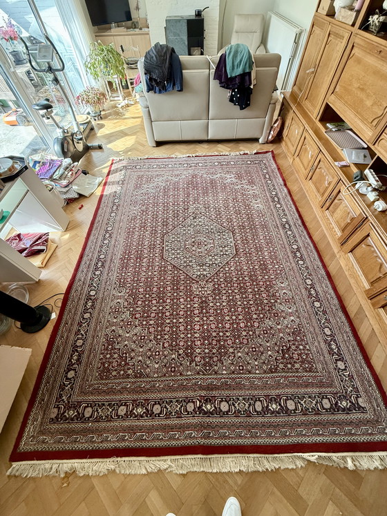 Image 1 of Bidjar hand-knotted rug 251 x 342