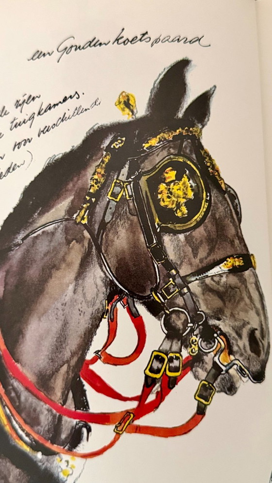 Book Het Brieschend Paard by Rien Poortvliet from 1978, Coffee table books, Paper, Brown (photo 7 of 15)