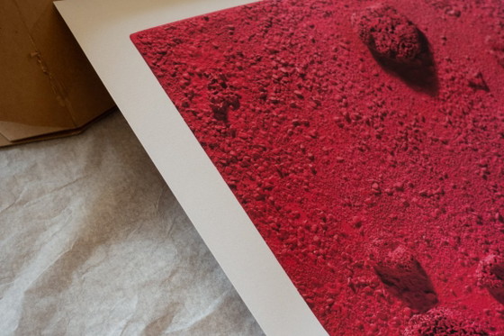 Yves Klein Relief-Éponge Rose (RE 26), 1960 - Poster 50×70 Cm – Affiches, Paper (photo 12 of 13)