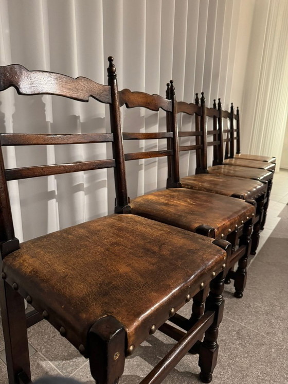 Image 1 of 6 sedie da pranzo antiche in rovere e pelle