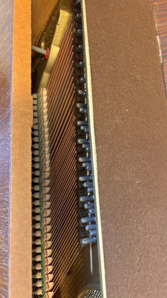 Clásico Piano Petrof de Madera – Madera Cálida (Incl. Funda Protectora) – Muebles, Metal, Plastic (photo 6 of 12)
