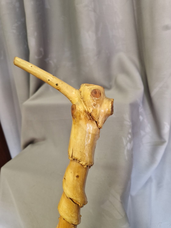 Image 1 of Belle canne ancienne