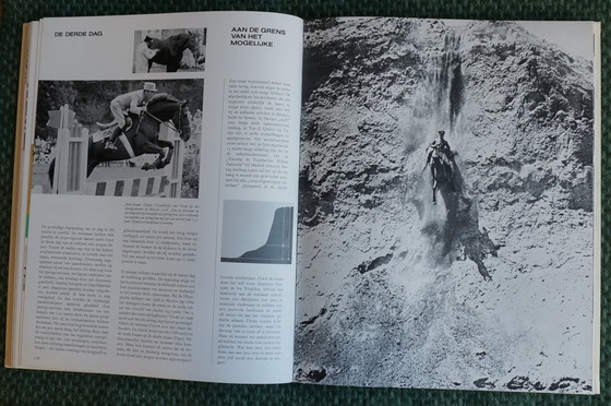 Image 1 of Ein Königreich für ein Pferd