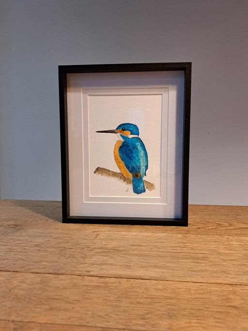 Dipinto ad acquerello di un martin pescatore | Lista nera