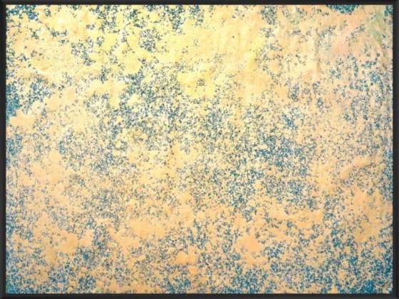 Image 1 of Jürgen Angeler - Golden Moss