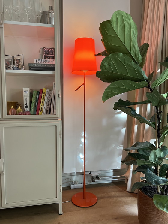 Image 1 of Foscarini Birdie Orange