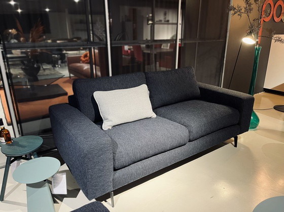 Image 1 of Fox 2,5 posti e -55%