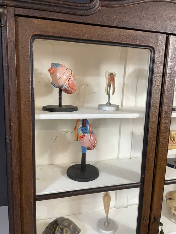 Image 1 of Historic Glass-Front Bookcase from Austria-Hungary, Late 19th–Early 20th C.