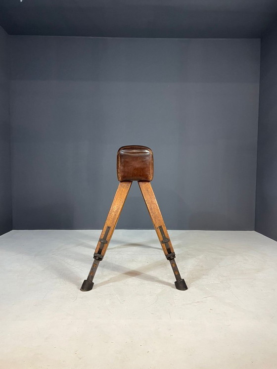 Image 1 of Gymnastik-Voltigierpferd, Tschechoslowakei, 1960er Jahre