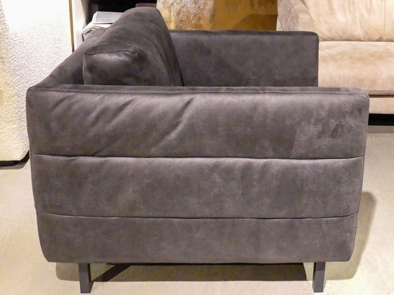 Image 1 of Dalio - *