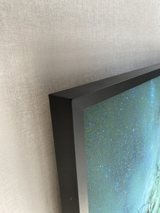 Image 1 of Limited Edition Print of a Forest in the Northern Lights (Edition 4/15)