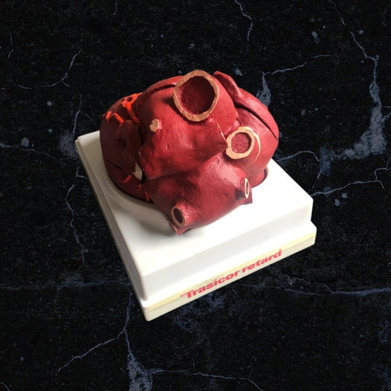 Image 1 of Trasicor retard vintage lifesize medical human heart specimen model anatomical physician's educational boxed 80s
