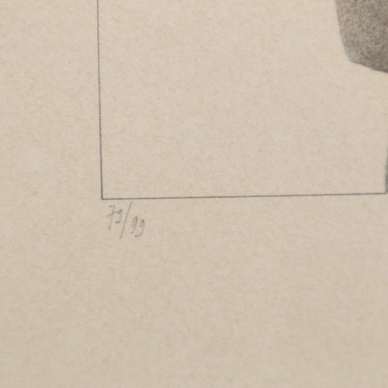 Roger Wittevrongel litho portret van een vrouw genummerd 79/99 – Litho's & Zeefdrukken, Paper (photo 5 of 13)
