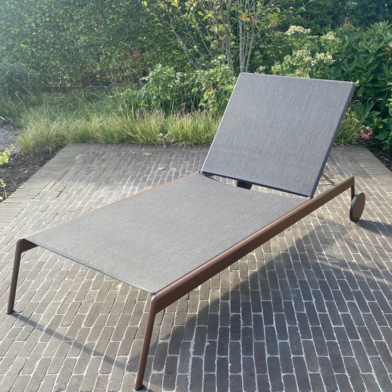 Image 1 of RODA Piper lounger
