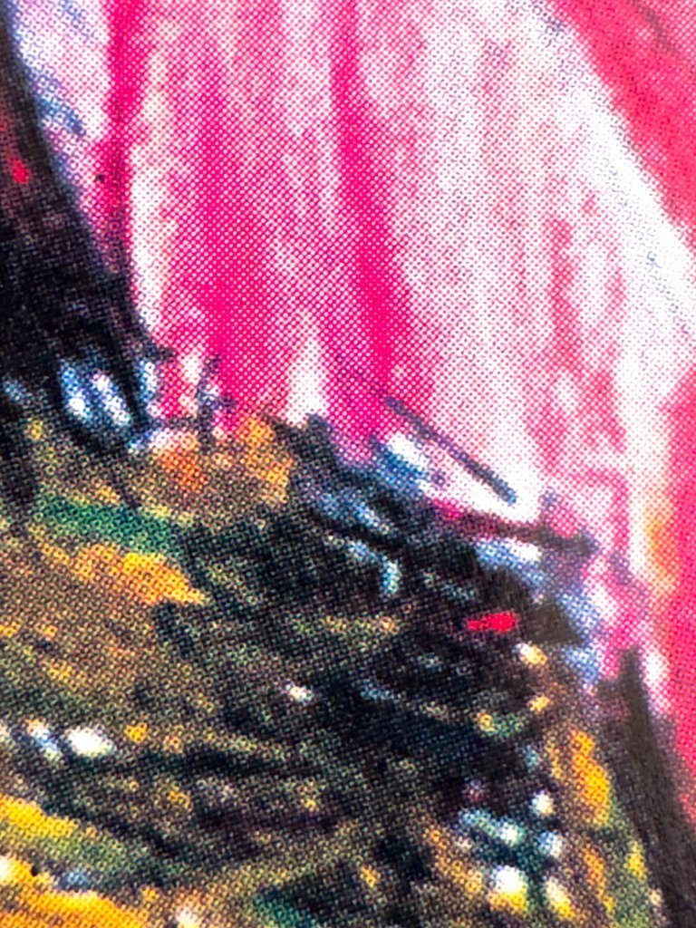 Christo The Wall Project 1999　アートポスター Christo The Wall Project 1999 アートポスター Gallery 98 | Christo