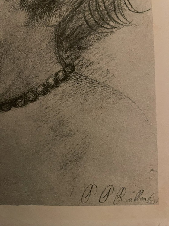 Peter Paul Rubens (1577-1640) - Son Nicolas – Paintings & Drawings, Paper (photo 5 of 5)