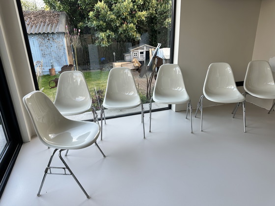 Image 1 of 6x Herman miller Eames DSR Fiberglass kuip stoelen stapelbaar