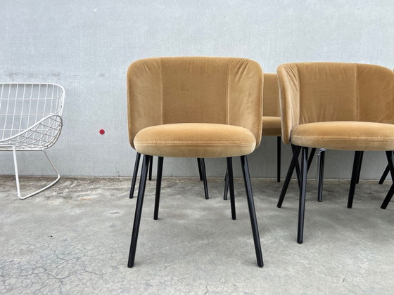 Image 1 of 7x Vitra Mikado chairs