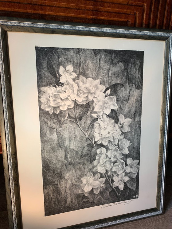 Image 1 of Aart van Dobbenburgh (1899-1988) - Lithographie Dahlia - Signée à la main r.o. 1977