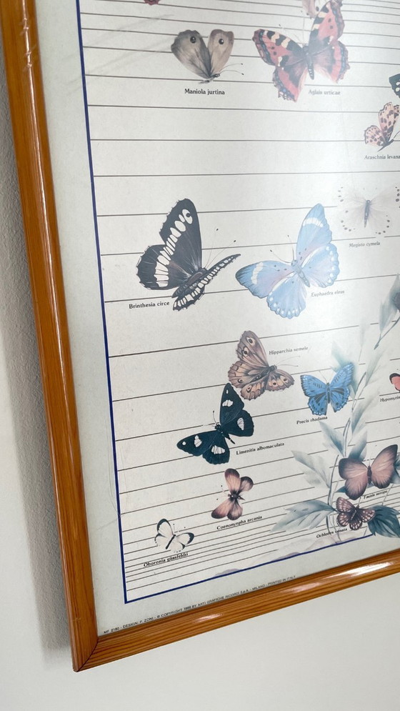 Image 1 of TABLEAU Affiche BUTTERFLY Italy