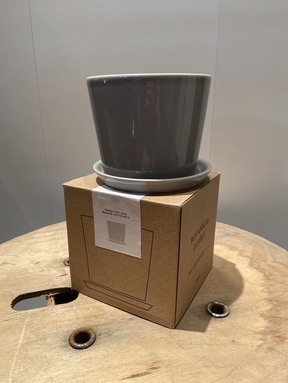 Image 1 of Maceta botánica de heno y platillo