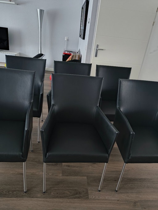 6 x Bert Plantagie Amber in pelle nera