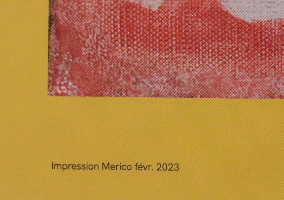 Henri Matisse: Coquette Woman, Art Notebooks, Original Poster – Paper (photo 4 of 6)